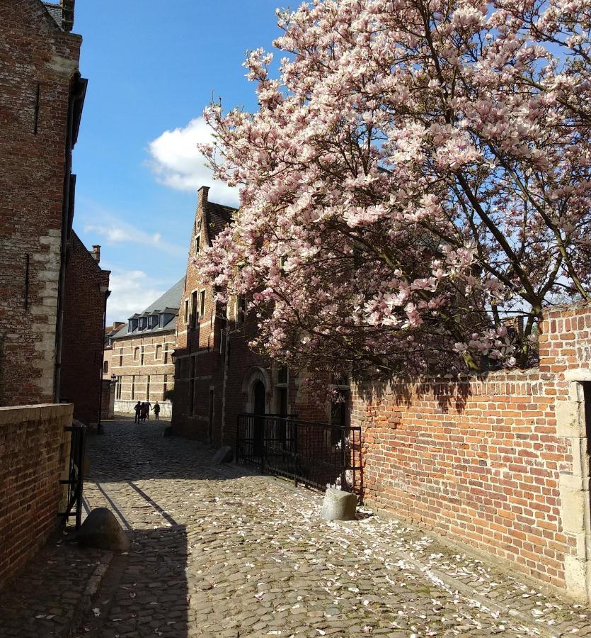 Begijnhof Hotel Leuven Luaran gambar